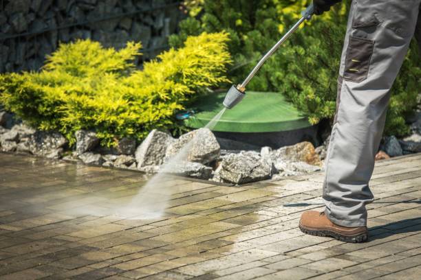 Best Driveway Pressure Washing  in Moapa Valley, NV