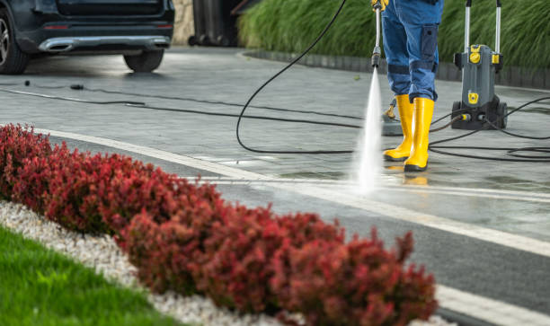 Best Gutter Cleaning  in Moapa Valley, NV